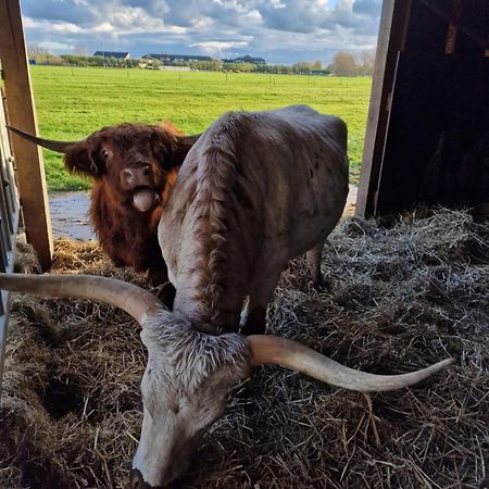شقة Bed&Bbq Longhornranch آكيرسْلوت المظهر الخارجي الصورة